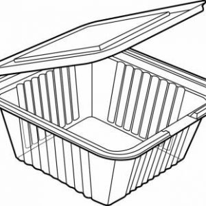 Deep Hinged Salad Container