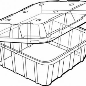 Large Punnet 162 x 138 x 75mm