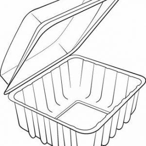 Clear Fold Pack Punnet